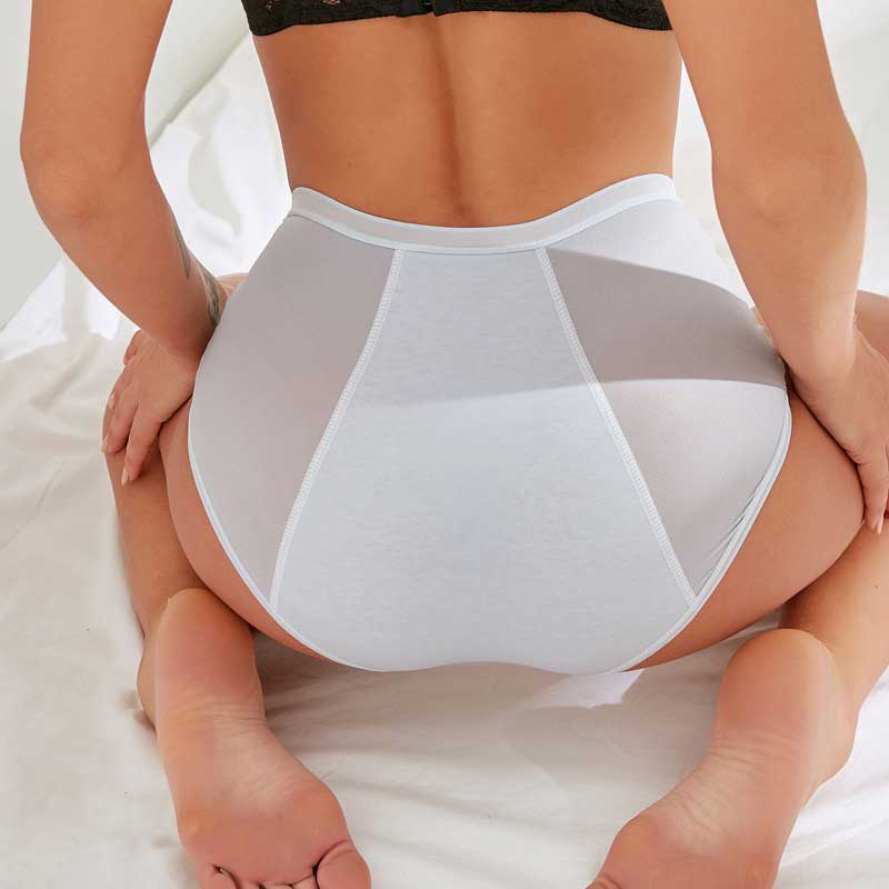 NEW: Leakproof High Waisted 3-Pack (Heavy Absorbency)